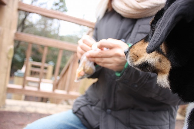 土曜の牧野が池２_e0162524_12205111.jpg