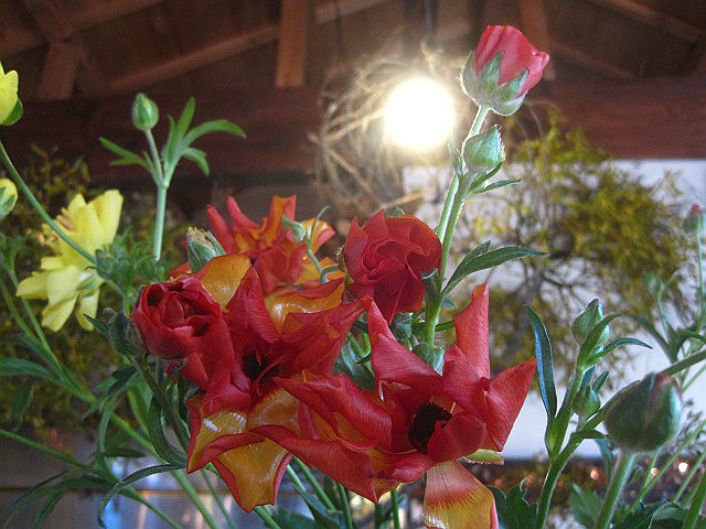 ホントに一月なのか?_c0102228_21131017.jpg
