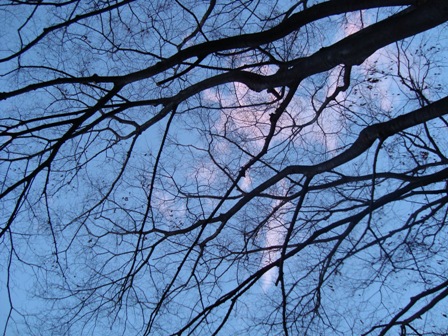 1月17日月曜日 夕方5時の空_b0204930_041492.jpg