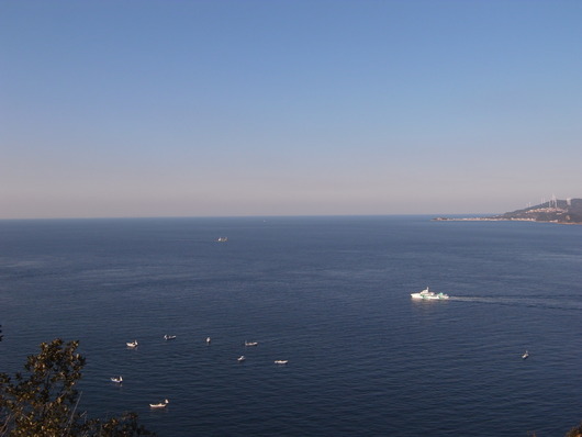 d0178432_15344933.jpg