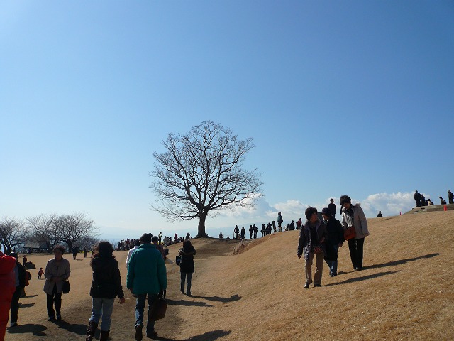 a0006033_14425387.jpg