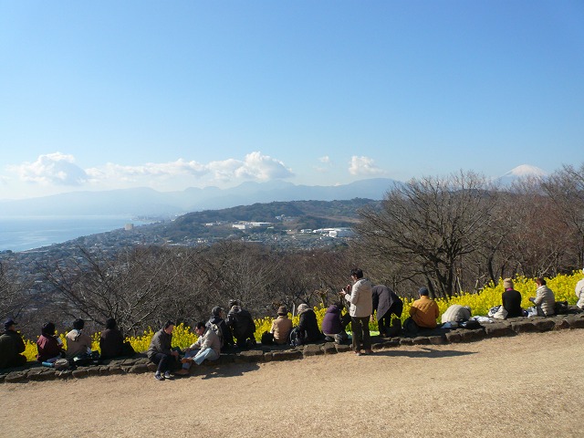 a0006033_1443279.jpg