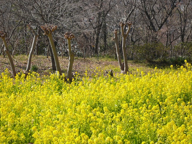 a0006033_14433979.jpg