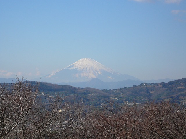 a0006033_14434998.jpg