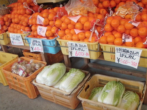 直販所・楽市で、大きい白菜、まんぼう、販売中です。_f0227434_1454077.jpg