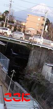 b0089338_23372893.jpg