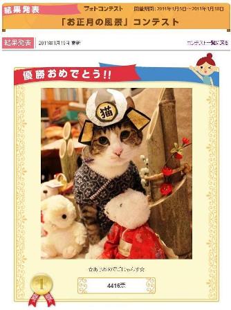 Yahoo!ペット「お正月の風景」コンテスト第1位優勝猫 ぽー編。_a0143140_23362025.jpg