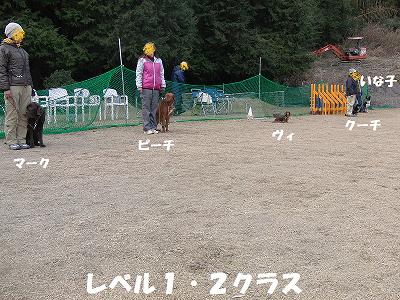 f0186040_05593.jpg
