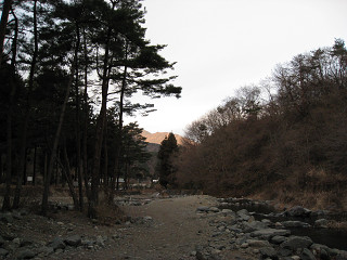 f0065341_1861912.jpg