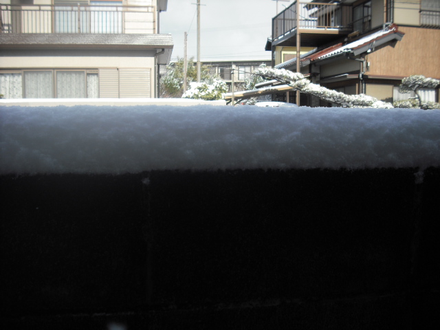 大雪でした！_c0194042_21263853.jpg