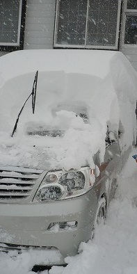 c0035843_7435889.jpg