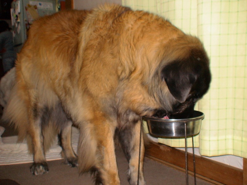 e0023643_2321094.jpg