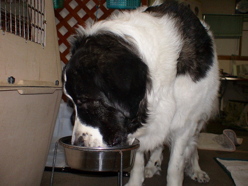 e0023643_2321418.jpg
