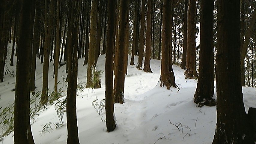 雪の金剛山☆_b0148050_2018323.jpg