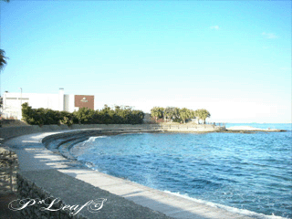c0176651_14133821.gif