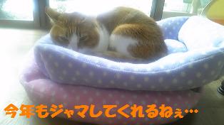 c0194551_21101038.jpg