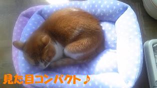 c0194551_2192869.jpg