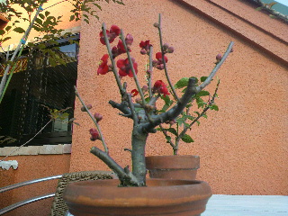 f0188652_19131583.jpg