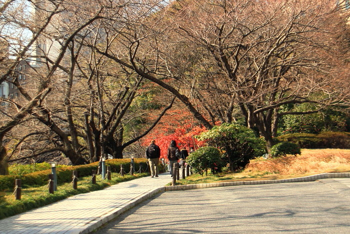 グランドプリンスホテル赤坂でまだ紅葉が♪_f0164256_22224925.jpg