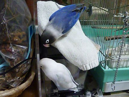 e0147757_234572.jpg