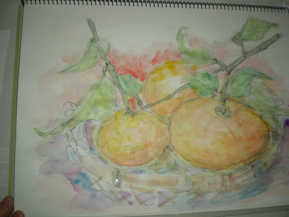 2011年1月19日(水)絵と木と絵手紙!_f0060461_1419238.jpg