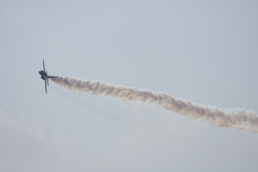 c0213564_54552.jpg