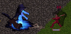 b0190672_20445457.gif
