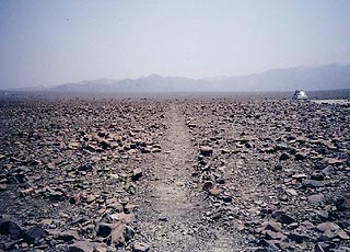 c0139375_159107.jpg