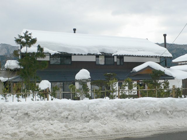 雪のかんばやし_b0042882_1755469.jpg