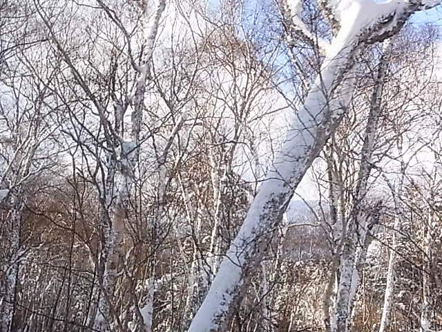e0141982_1804170.jpg