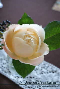 b0065587_19462072.gif