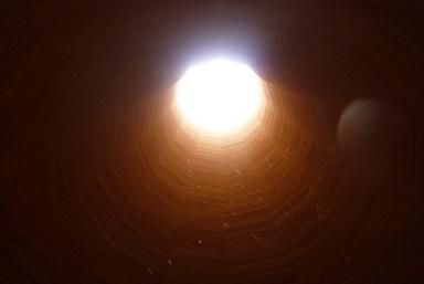 六甲枝垂れ_d0087595_2137121.jpg