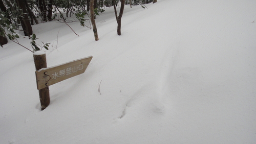 f0036700_1013921.jpg