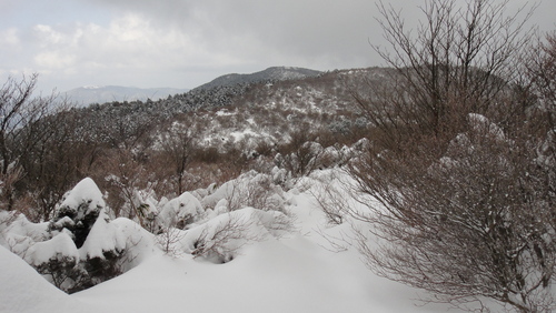 f0036700_1014243.jpg