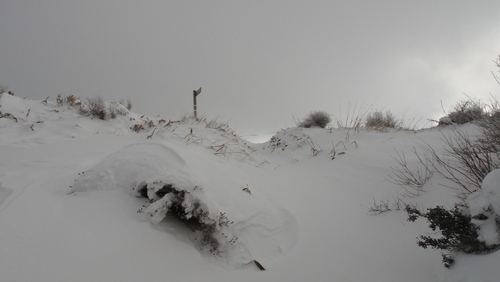 f0036700_1014468.jpg