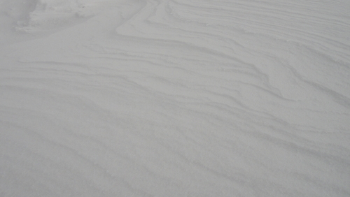 f0036700_1015561.jpg