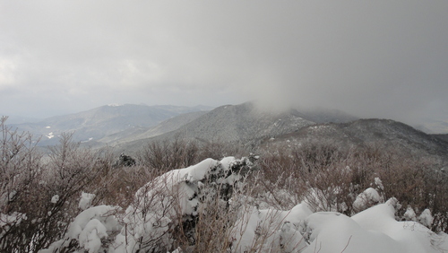 f0036700_10155773.jpg