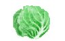産直の野菜さんたち_d0026905_217454.gif