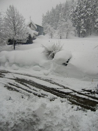 南魚沼産・雪_a0128408_18355930.jpg