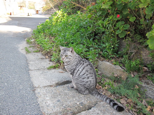 直島に行ってきたのです。（その２）_d0182409_23271048.jpg