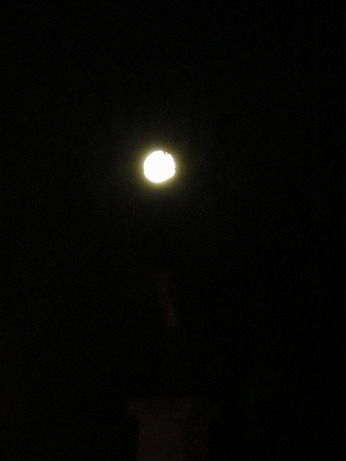c0124619_437259.jpg