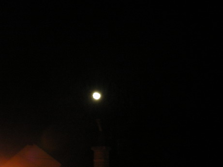 c0124619_437782.jpg
