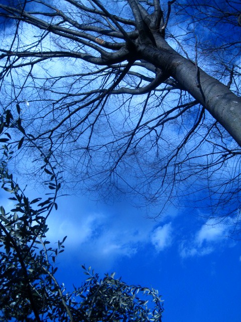 番長と青空_c0102228_21104360.jpg