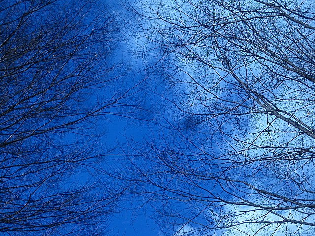 番長と青空_c0102228_21131375.jpg