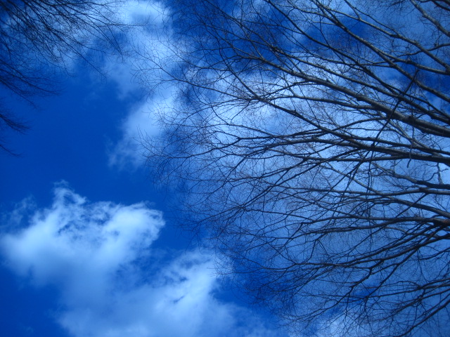 番長と青空_c0102228_21132475.jpg