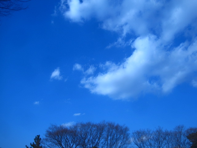 番長と青空_c0102228_21133836.jpg