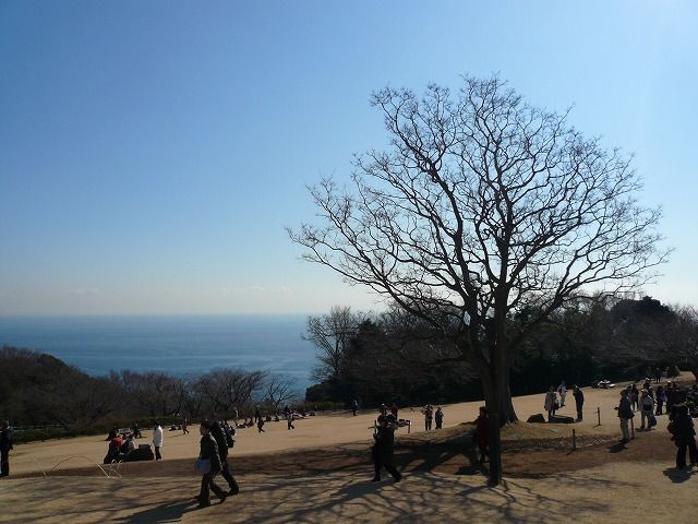 a0006033_1513337.jpg
