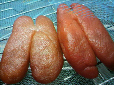 c0077741_0495126.jpg