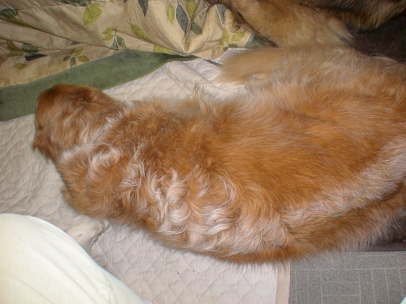 e0023643_23224723.jpg