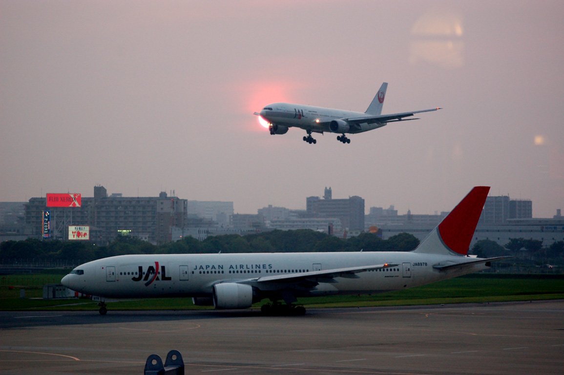 あれっ日本航空鶴丸復活! : □□ほーどー飛行機□□Aerial news あれっ日本航空鶴丸復活! : □□ほーどー飛行機□□Aerial news